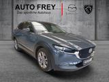 Mazda CX-30 2.0-X 179PS Selection+LEDER+ANHÄNGEVORRICH - Mazda in Augsburg