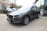 Mazda CX-30 - Vorschau Bild 6