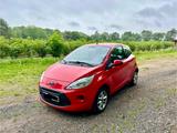 Ford Ka 1,2 Trend - Ford Ka/Ka+ in Oldenburg