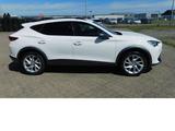 Cupra Formentor Cupra 1.5 TSI BMT Klima LED Alu Navi - Cupra Formentor mit Benzin-Antrieb: Sportwagen