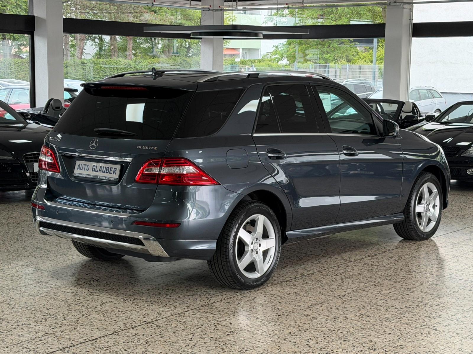Mercedes-Benz ML 250 CDI BlueTec/4Matic/AMG/Xenon/Navi/1.Hand