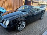 Mercedes-Benz CLK 430 Cabrio - Mercedes-Benz CLK 430: Cabrio