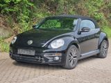 Volkswagen Beetle Cabriolet Allstar +1 Hd. +nur 49tkm