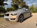 BMW 218i Cabrio - Nur 39,000 Km - BMW: 39