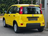 Fiat Panda Pandina Cross - Fiat Panda Gebrauchtwagen in Stuttgart
