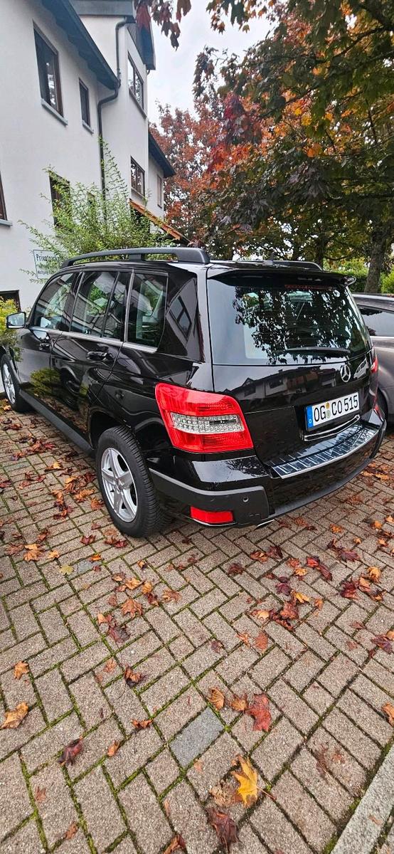Mercedes-Benz GLK220 2009 — photo 9
