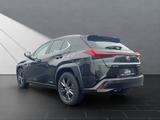 Lexus UX 250H LEDER+NAVI+HUD DISPLAY+15J.GARANTIE* - Lexus aus 2019