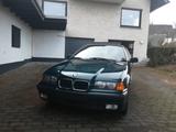 BMW 318i Cabrio 318i - BMW 318 aus 1995: 318i