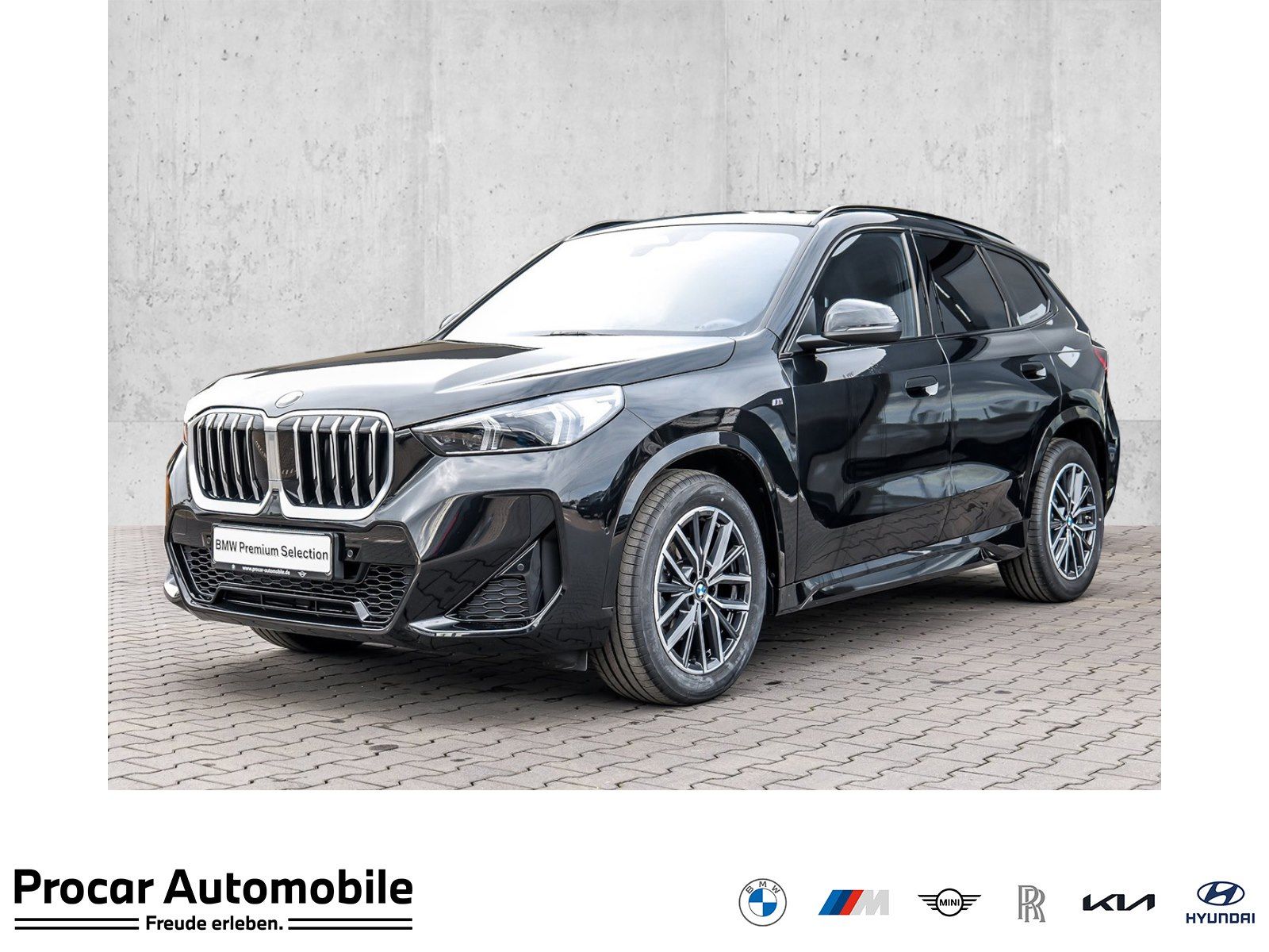BMW X1 sDrive20d M Sport PANO ACC AHK RFK NAVI LED foto 1