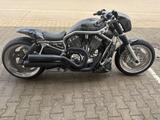 Harley-Davidson V-Rod Custom Cult-Werk - HARLEY-DAVIDSON V ROD CUSTOM