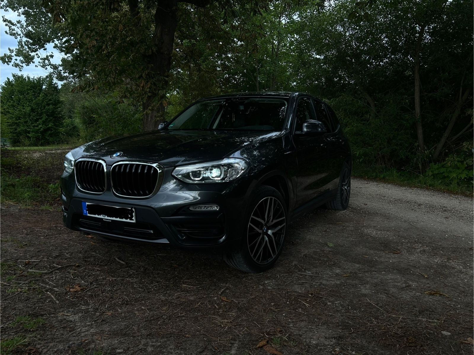 BMW X3 xDrive20d xLine AT xLine