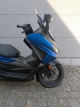 Honda NSS 125 ADR FORZA **JUNGER GEBRAUCHTER** - HONDA FORZA 125