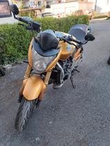 Honda Hornet 600FA - HONDA HORNET 600