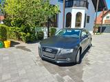 Audi A5 3.0 TDI 239 PS  TÜV neu - Audi A5 aus 2010: 3.2