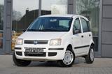 Fiat Panda 1.2 8V Natural Power Panda - Fiat Panda mit CNG-Antrieb: Kleinwagen