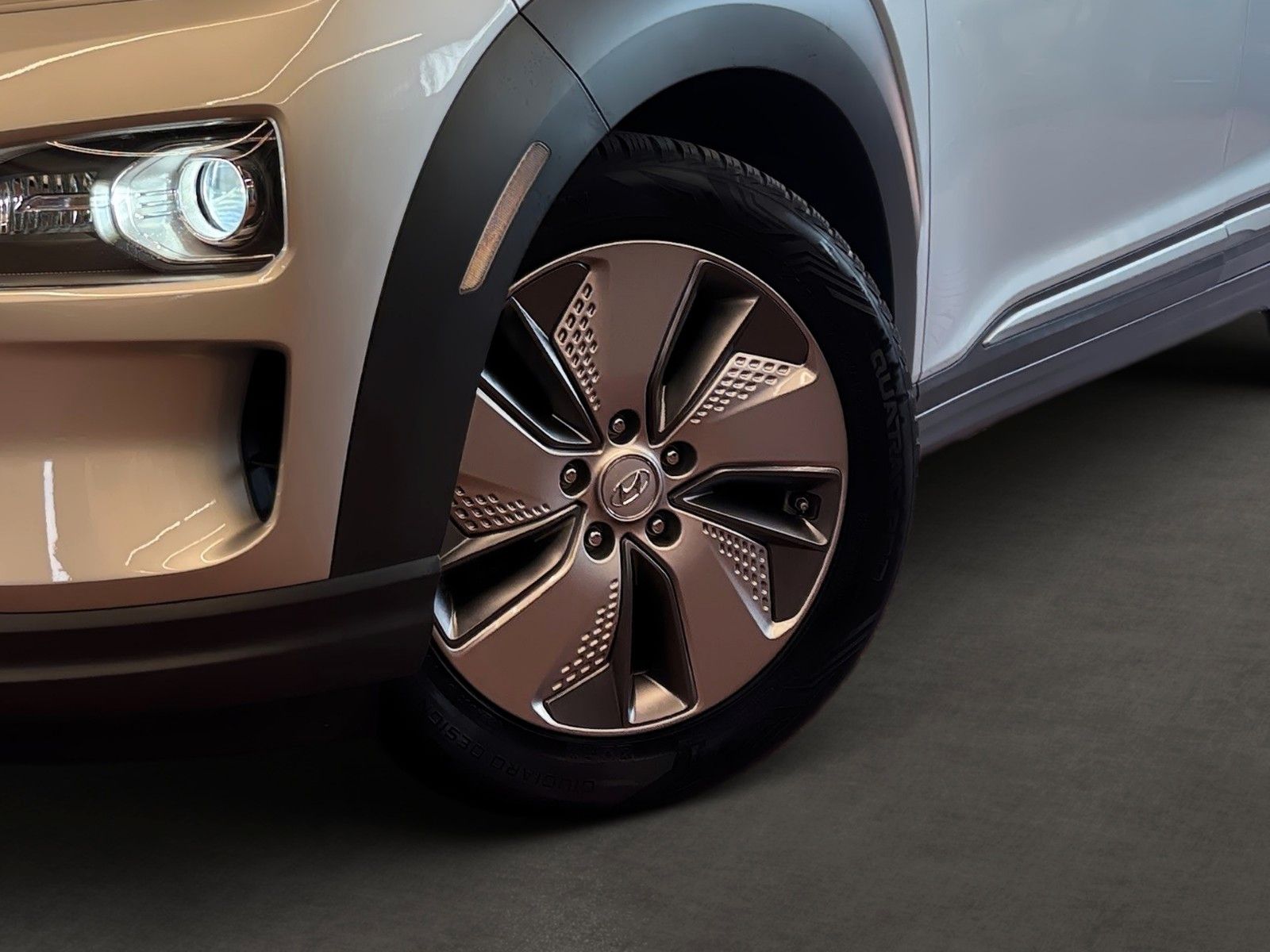 Fahrzeugabbildung Hyundai Kona Style Elektro