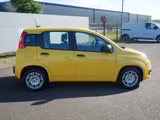 Fiat Pandina PANDA ICON HYBRID 1.0 GSE 65PS PDC RADIO - Fiat New Panda Tageszulassungen