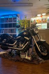 Harley-Davidson Softail Slim - Offers
