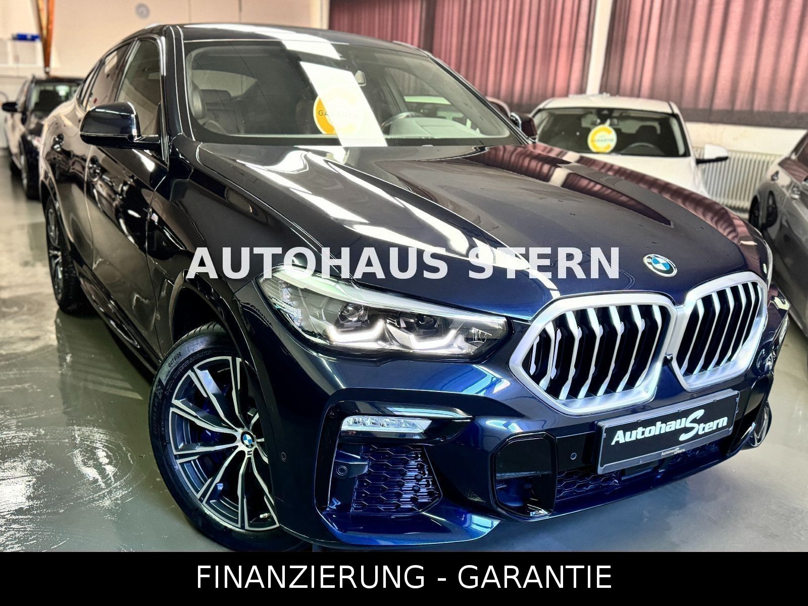 BMW X6 xDrive 30 d M Sport Kamera Spur ACC