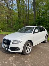 Audi Q5 2.0 TDI 140kW S Tronic Quattro - S Line Paket - Audi Q5 mit Diesel-Antrieb: Leder