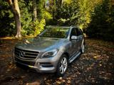 Mercedes-Benz ML 350 BlueTEC 4MATIC - - Mercedes-Benz ML 350 in Bielefeld