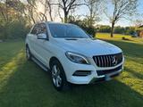 Mercedes-Benz Mercedes Benz ML 350 - Mercedes-Benz ML-Klasse Kombi Gebrauchtwagen