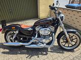 Harley-Davidson XL 883 L Sportster - Offers matching your search criteria
