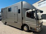 Mercedes-Benz Atego 816L Pferdetransport