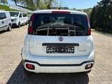 Fiat Panda Cross CARPLAY, PDC, KLIMATRONIC - Fiat aus 2024