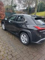 Lexus UX 250h - Style Edition - Lexus UX aus 2022