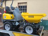 Wacker Neuson Dumper Raddumper NEU 1001 Hochkippmulde - Offers matching your search criteria