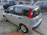 Fiat Panda 1.0 FireFly S&S Hybrid Easy - Fiat Panda EASY mit Hybrid-Antrieb (Benzin/Elektro)
