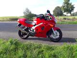 Honda VFR 800, RC 46  - HONDA 1999 VFR800