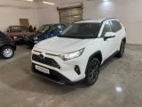 Toyota RAV4 Hybrid 4x2 Team DE *TECHNIK-PAKET* *LAGER*