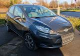 Ford Fiesta 1,25 60kW Trend Trend - Ford Fiesta aus 2010: 1.6