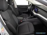 Skoda Octavia 1.5TSI Essence AHK Design-Paket Studio - Skoda Octavia aus 2025