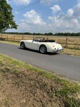 Austin Healey Andere - Austin Healey aus 1966