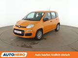Fiat Panda 1.2 Easy *PDC*KLIMA*GARANTIE* - Fiat Panda: 1.1