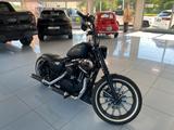 Harley-Davidson Sportster Iron 883 *A2-Drossel 35 kW* - Offers