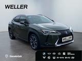 Lexus UX 250h Style Edition *Bi-LED*ACC*CAM*SHZ*CarPla - Lexus aus 2021