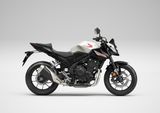 Honda CB500 Hornet - 6 Jahre Garantie -