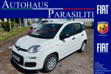 Fiat Panda Hybrid CityPaket 5-Sitze PDC Radio Klima - Fiat Panda New cars mit Benzin-Antrieb: Kleinwagen