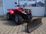 Yamaha GRIZZLY 4X4,Seilw,Winterd,Schneeschild ,2.Hand - QUAD 4X4