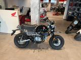 Honda Monkey 125 2025 Schwarz *sofort verfügbar* - HONDA MONKEY