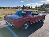 Ford Mustang Bj. 1966 mit revidiertem 302-... - Ford Mustang in Karlsruhe