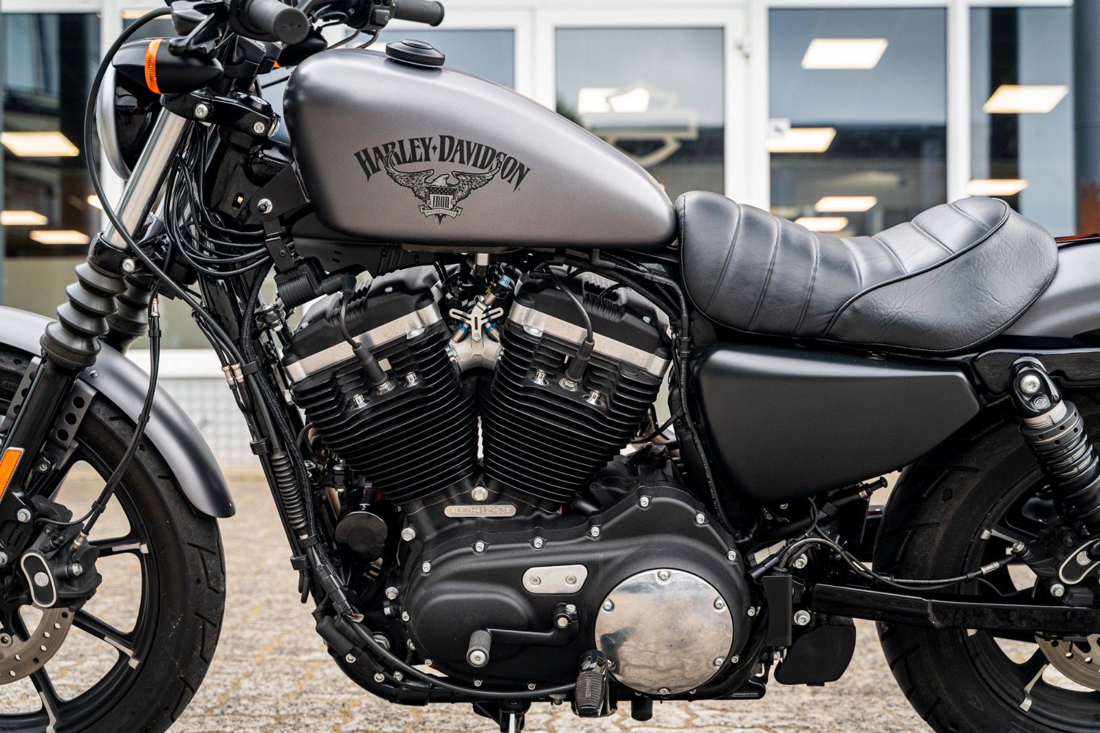 Fahrzeugabbildung Harley-Davidson XL883N - Iron