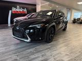 Lexus UX 250h Style Edition|Black Edition|4x4|AWD - Lexus aus 2021