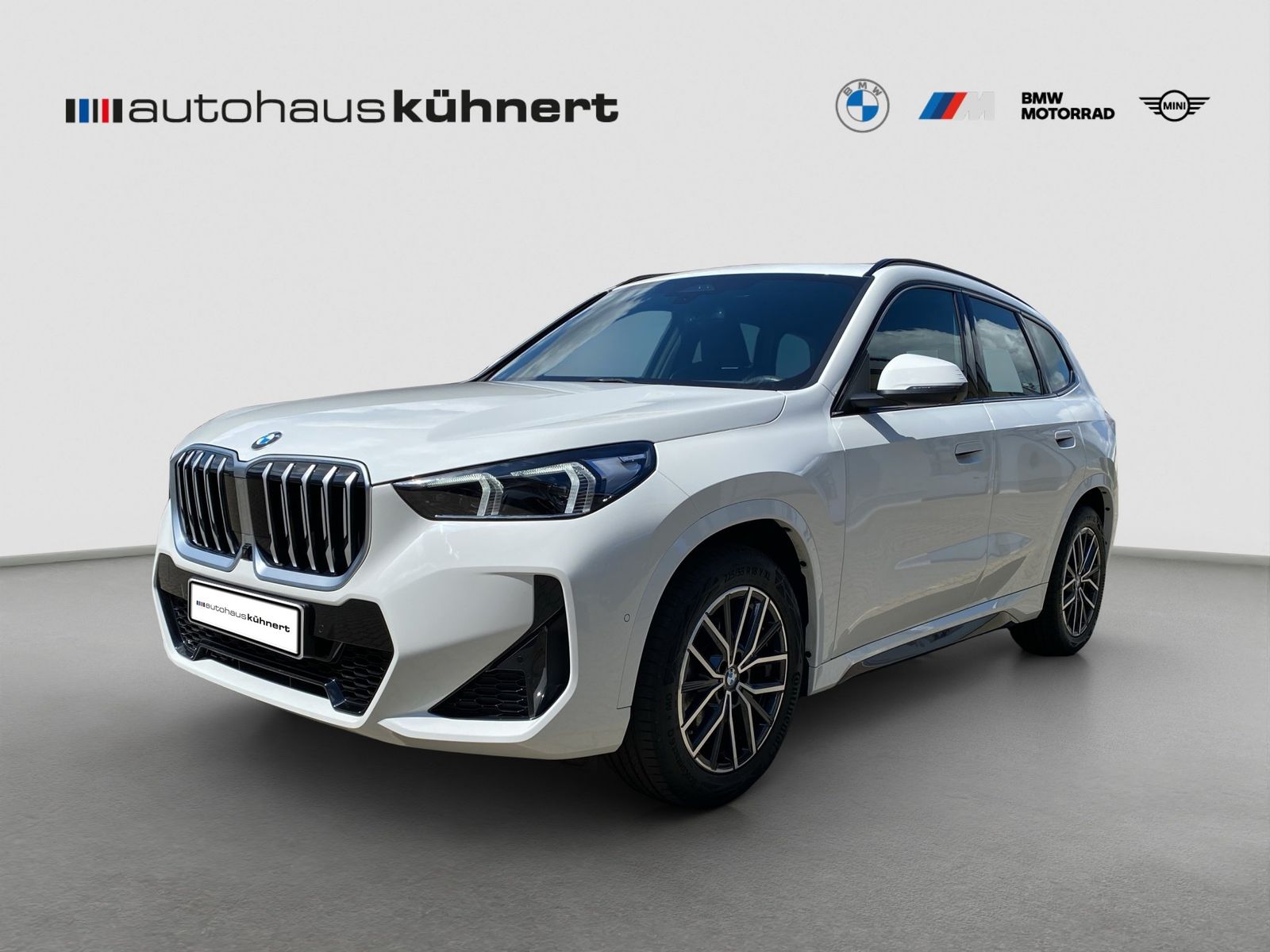 BMW X1 xDrive20d M-Sport ACC SpurAss 360° AHK foto 2