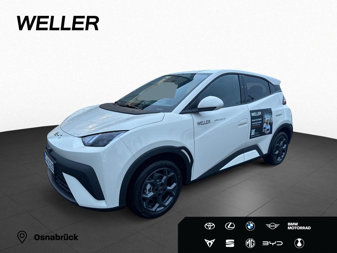BYD DOLPHIN SURF