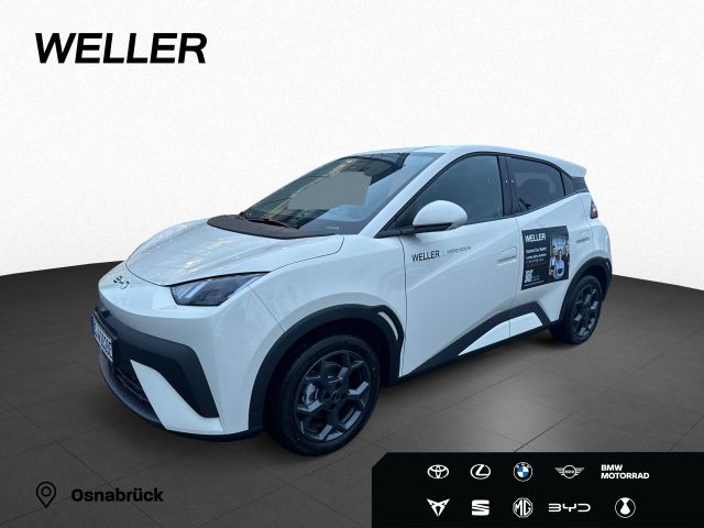 BYD DOLPHIN SURF